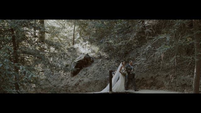 Tennessee Titan Taylor Lewan's Big Sur Wedding Videography смотреть онлайн