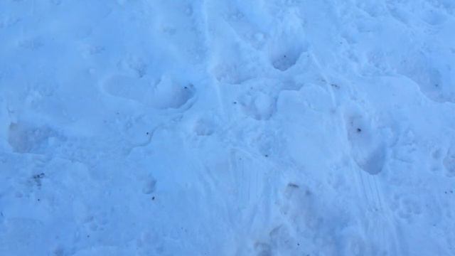 Dan Andersson - Nyår смотреть онлайн