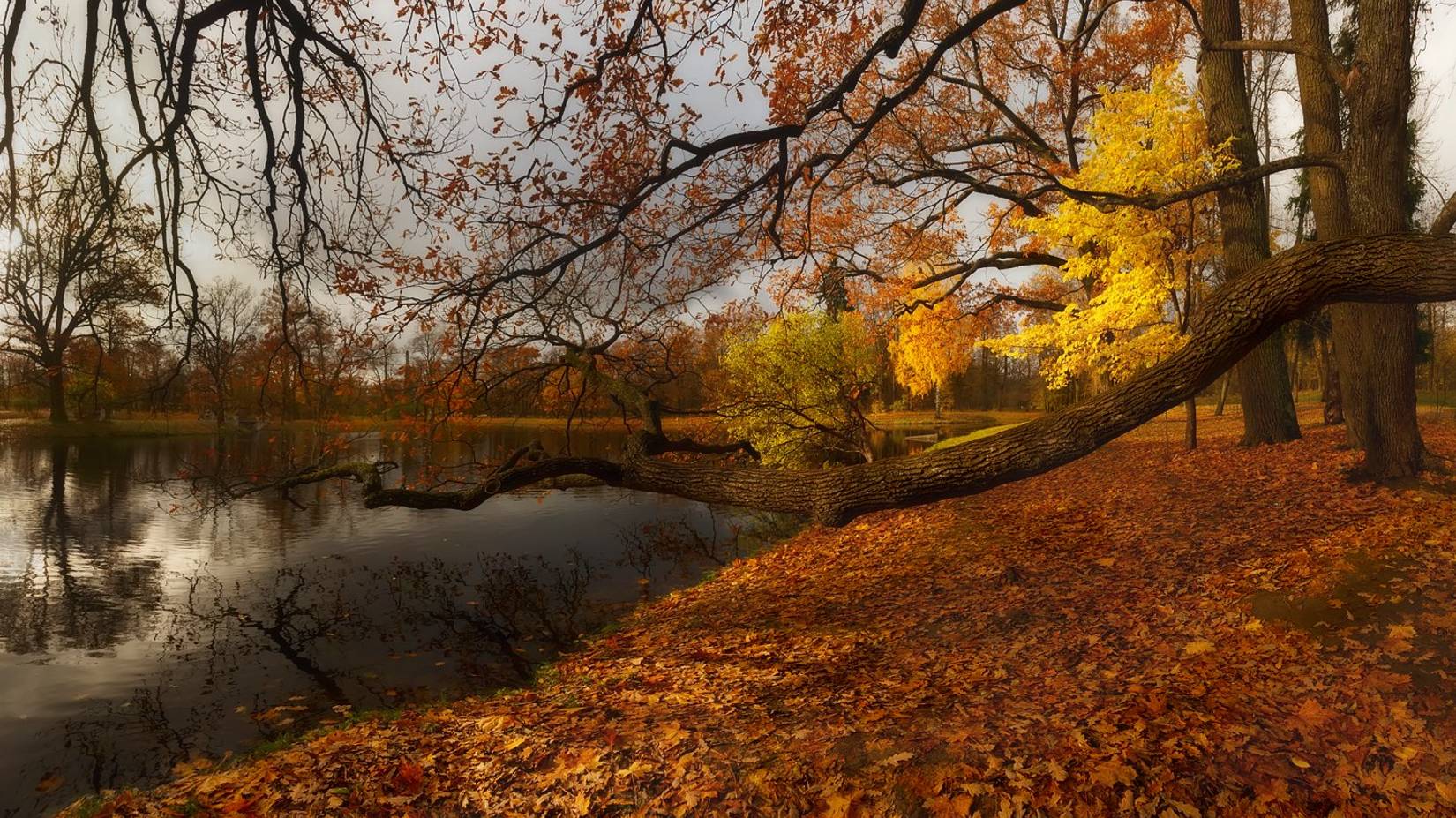 Вадим Гурьев Глубокая печаль смотреть онлайн