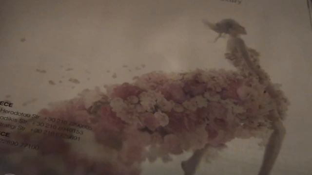 PIANO ON SAXOPHONE- JOHN BAKALIS-2014 смотреть онлайн