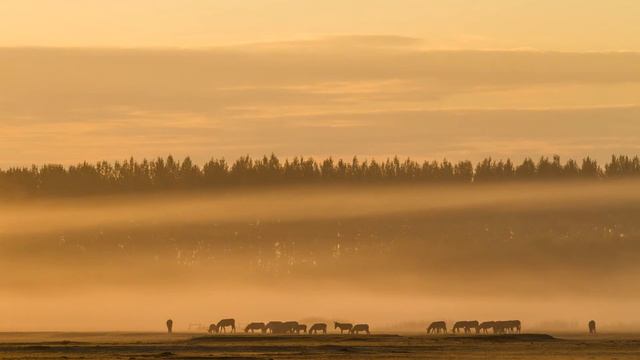 Jacques Offenbach: Les Contes d'Hoffmann - Barcarole - Herbert von Karajan смотреть онлайн