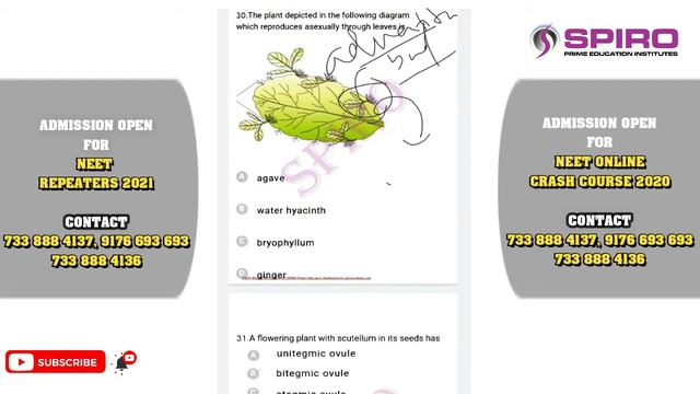 NTA ABHYAS TEST | 1 TO 40 QUESTION | REPRODUCTION IN ORGANISM SEXUAL REPRODUCTION IN FLOWERING PLAN смотреть онлайн