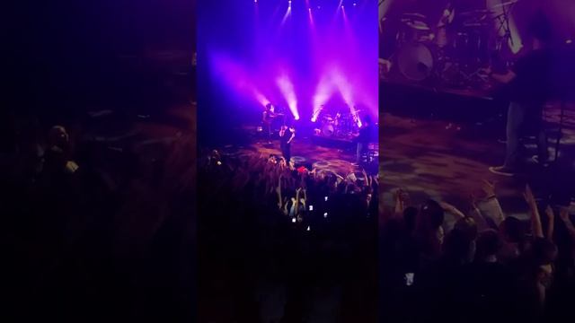 Michael Patrick Kelly - safe hands - 10/6/16 Zwolle Crowdsurfing смотреть онлайн