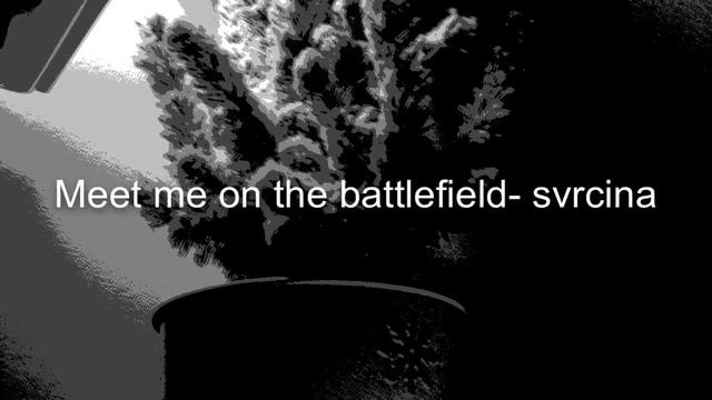 Meet me on the battlefield - Svrcina (sped up) смотреть онлайн