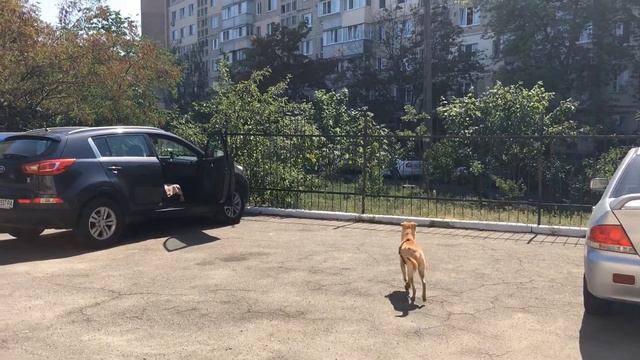 Юна и смотреть онлайн