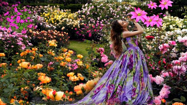 Аutumn rose Эрнесто Кортазар смотреть онлайн