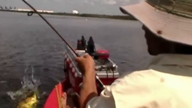 Nice Topwater Explosion смотреть онлайн