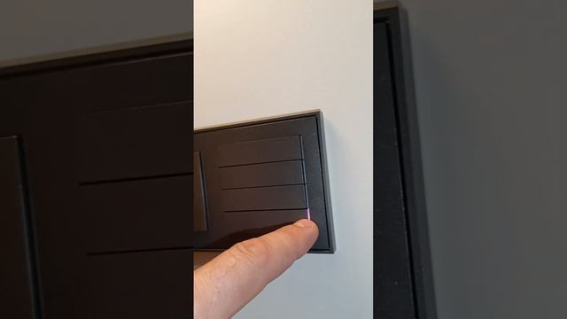 Умный дом, программируемый выключатель