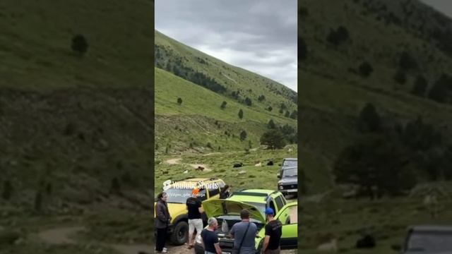 А ты знаешь? смотреть онлайн