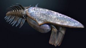 Эгирокассис, древнее гигантское существо, поставившее в тупик учёных.