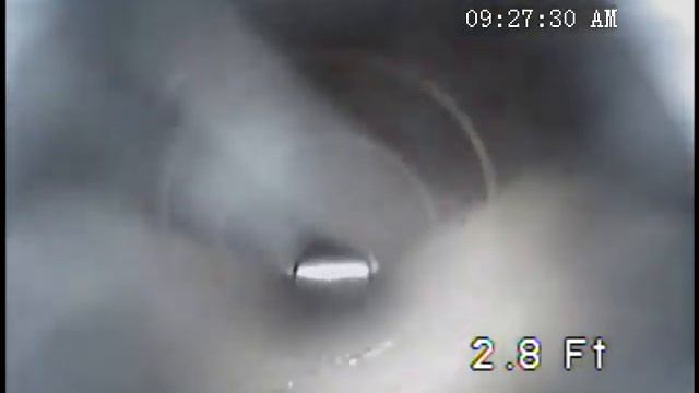 20210402 Lamb Register 2 смотреть онлайн