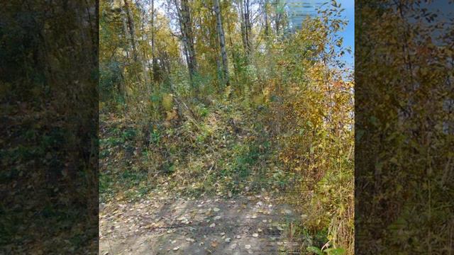 клип на музыку Мишель Легран фото Михаила Гаврилова