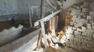 ЗАМОНАВИЙ ОТХОНА ВА МОЛХОНА КУРИЛИШИ. УЛОКЧИ ОТЛАР БИЗНЕСИ
