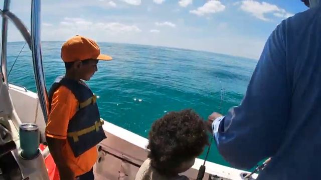 Fishing the Reefs Adams Key , boca Chica key. Mutton Snappers, Triger Fish, Hog fish #fishingmiami смотреть онлайн