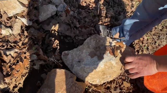 BUG Hunt for GIANT BUGS with Caleb & Mommy! Kids Catching INSECTS and PLAYing OUTSIDE with DAD! смотреть онлайн