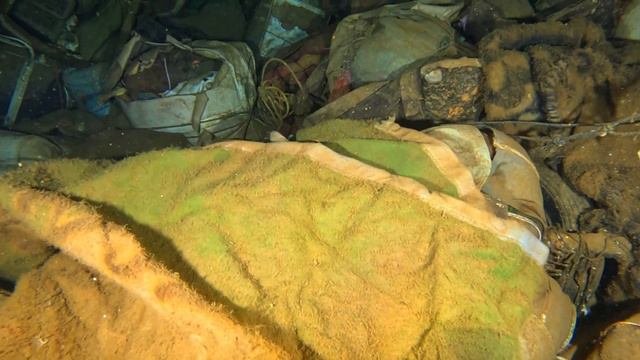 Сафари июнь 2023 смотреть онлайн