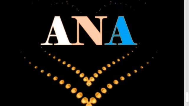 Anaya Aid Seir