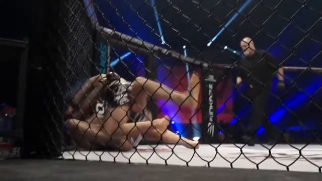 Gavrilovic vs Vallée La Disqualification Finale TKO MMA смотреть онлайн