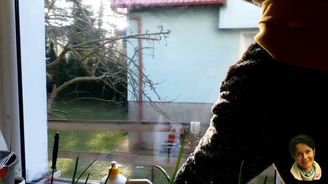 The sun brought us joy and energy ...🌞 Słońce przyniosło nam radość i energię ...🌞 4K смотреть онлайн
