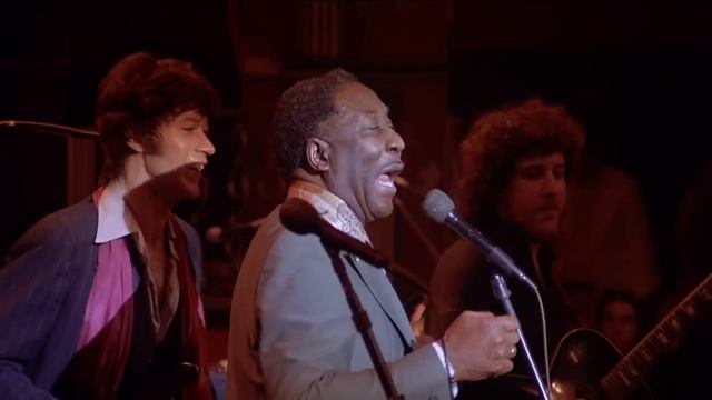 The Band & Muddy Waters - Mannish Boy LIVE San Francisco '76 смотреть онлайн