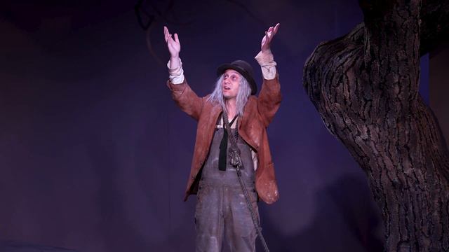 Waiting for Godot at Barrington Stage Company смотреть онлайн