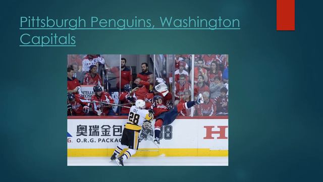 Washington Capitals Dog Jersey смотреть онлайн