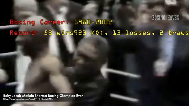 147 CM WZROSTU CZYLI NAJNIŻSZY BOKSER ŚWIATA | Jacob „Baby Jake” Matlala смотреть онлайн