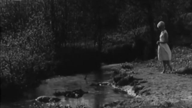 Finnish 1965 NF: Vieno Kekkonen 😿 “Pavane itkevälle neidolle” смотреть онлайн