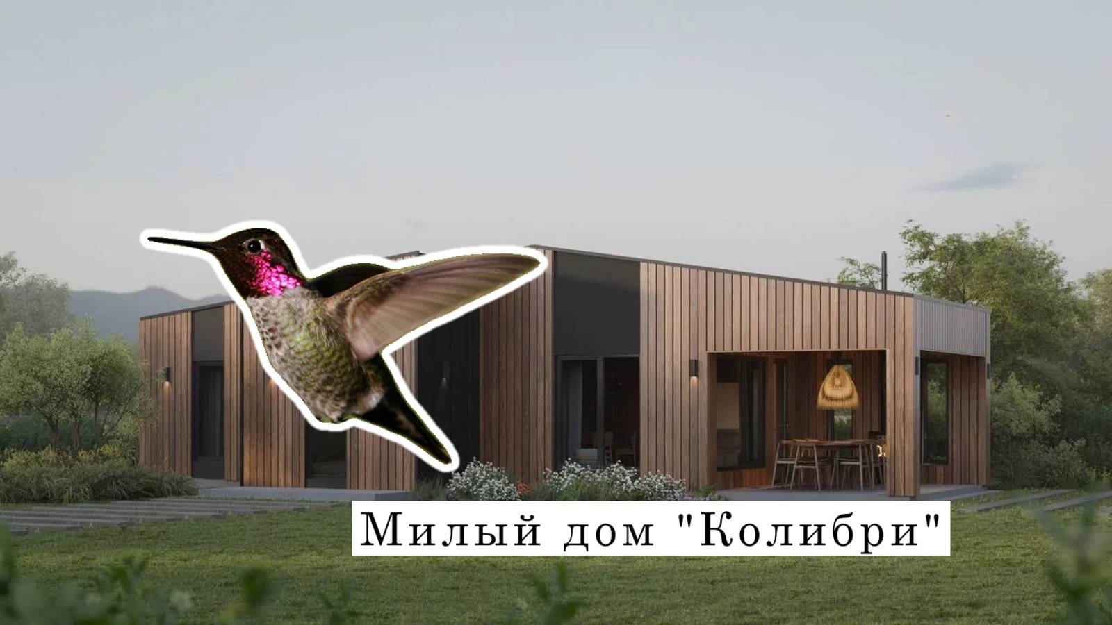 Колибри EcoPoint