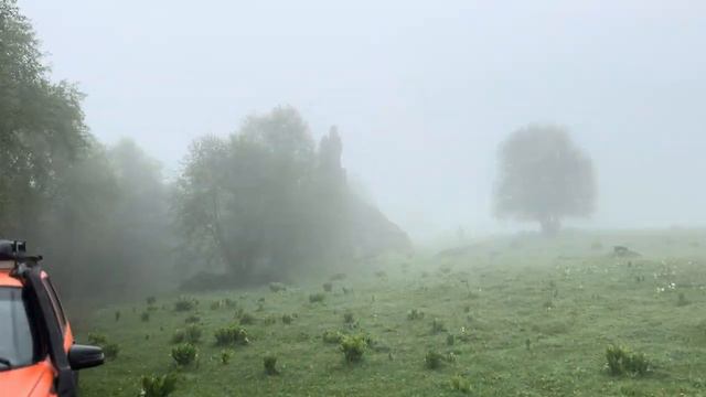 Путешествия по Карачаево-Черкесии. Орел на перевале Гумбаши смотреть онлайн