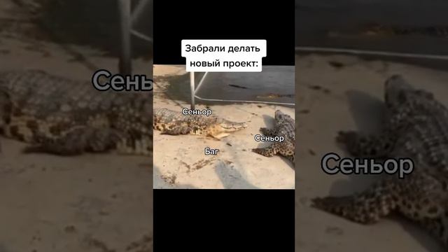 крокодилы смотреть онлайн