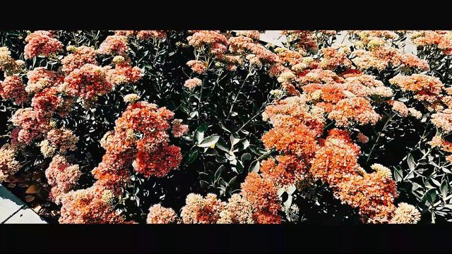 Волгоград | Красноармейский Район | Волго-Донской Канал смотреть онлайн