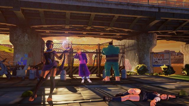 STREET FIGHTER V あきらにクリティカルアーツ+ステージKO【リョナ】 смотреть онлайн