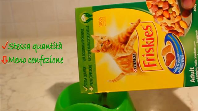 Spot Friskies смотреть онлайн
