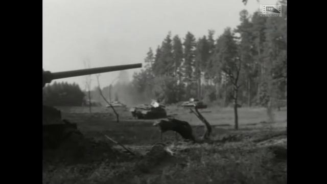 Смелого пуля боится или Мишка принимает бой