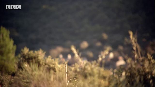 SO3 B2 U2 BBC Programmes смотреть онлайн