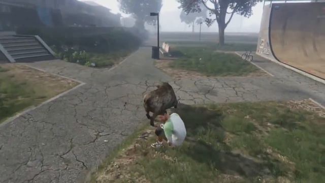 GTA 5 Next Gen: PLAYING AS ANIMALS! (GTA 5 Next Gen Funny Moments) GTA 5 Funtage смотреть онлайн