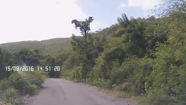 Back roads, Milk river to Guts River, St Elizabeth, Jamaica смотреть онлайн