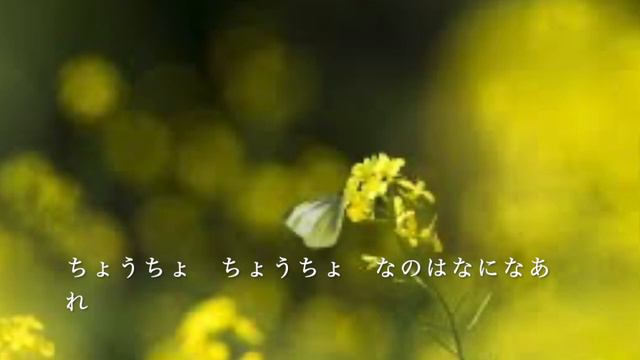 【童謡】なのはなとちょうちょ（まど・みちお　詩） смотреть онлайн