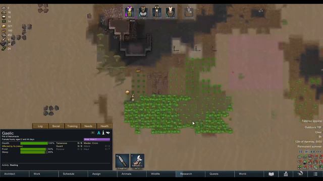 Rimworld Story 1 Five Catgirls Crash in a Desert Chapter 3 смотреть онлайн