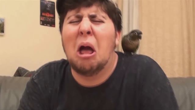 Best Reactions of JonTron смотреть онлайн