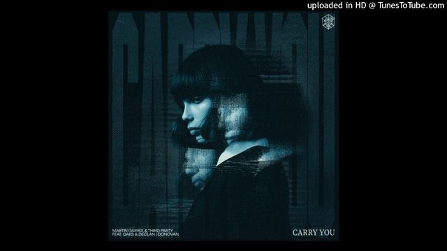 Martin Garrix & Third Party (feat. Oaks & Declan J Donovan) - Carry You (Dario Xavier Remix)