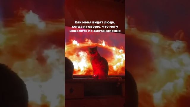 Так и есть❤️