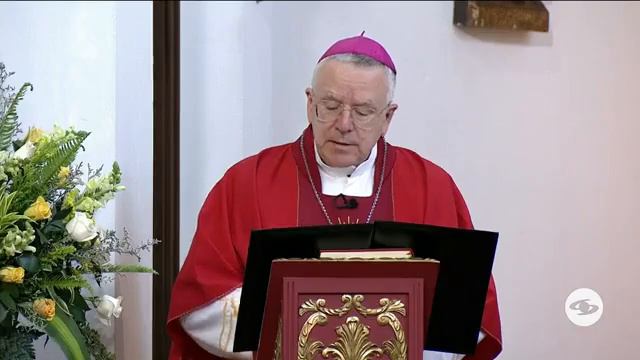 santa misa obolo de San Pedro смотреть онлайн