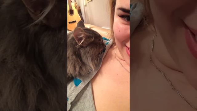 Дамский угодник Этот котик знает толк в девушках смотреть онлайн