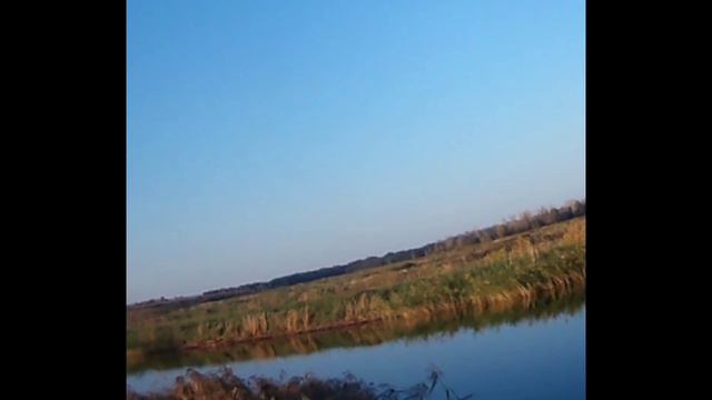 Видео нарезка из охоты смотреть онлайн