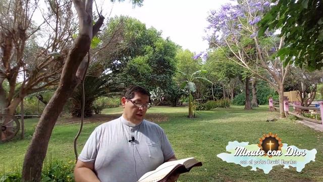 Reflexión Evangelio: jueves 4 de noviembre. San Carlos Borromeo. смотреть онлайн