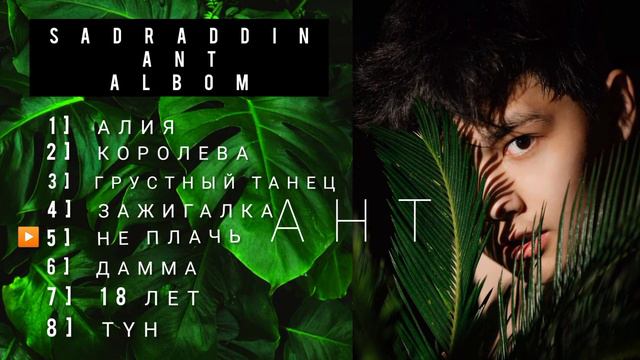 Sadraddin Албльбом Mp3