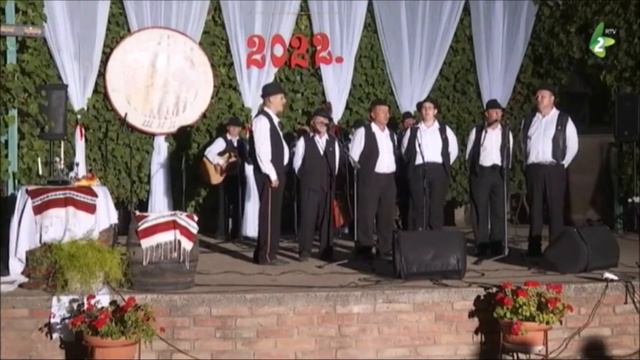 V PETROVSKIM POLJU - Orkester KUD "Jakim Hardi", PETROVCI смотреть онлайн