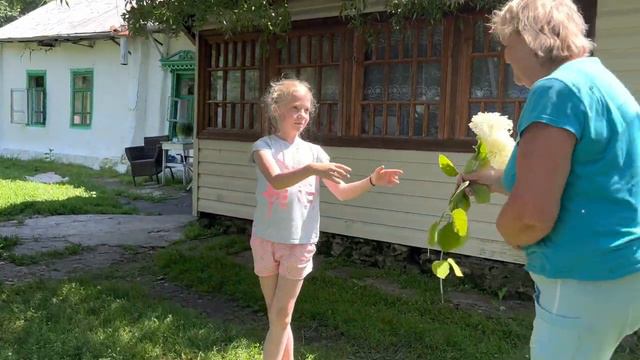 Балет Дон Кихот юмор смотреть онлайн